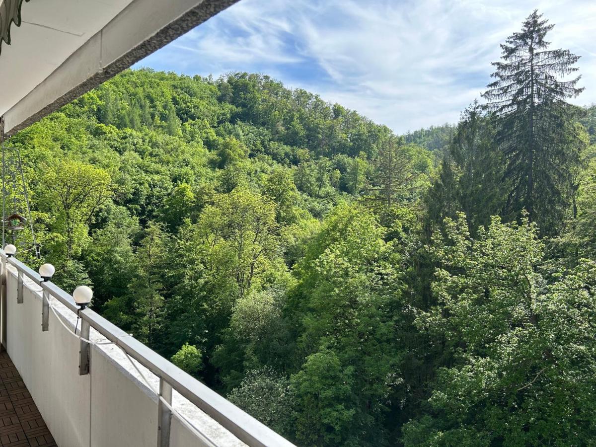Wald-Idyll: Urlaub Im Gruenen Apartment Bad Harzburg Bagian luar foto