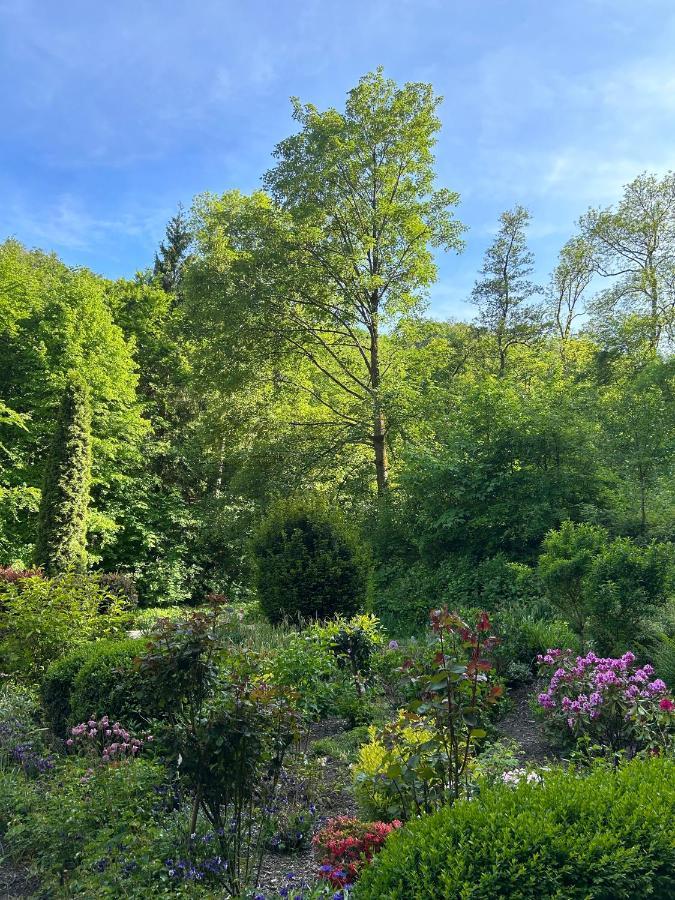 Wald-Idyll: Urlaub Im Gruenen Apartment Bad Harzburg Bagian luar foto